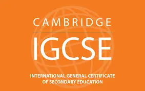 IGCSE Online Tutor