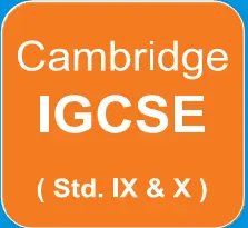 IGCSE home tuition in Pune